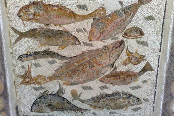 Как купить наркотик в кракен